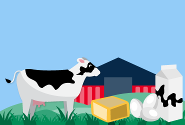 Kuh, Butter und Milch